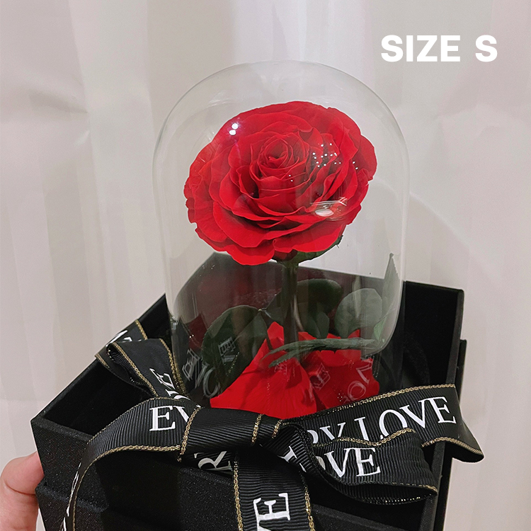 กุหลาบสดในโหลแก้ว Size S พร้อมกล่องสุด Premium