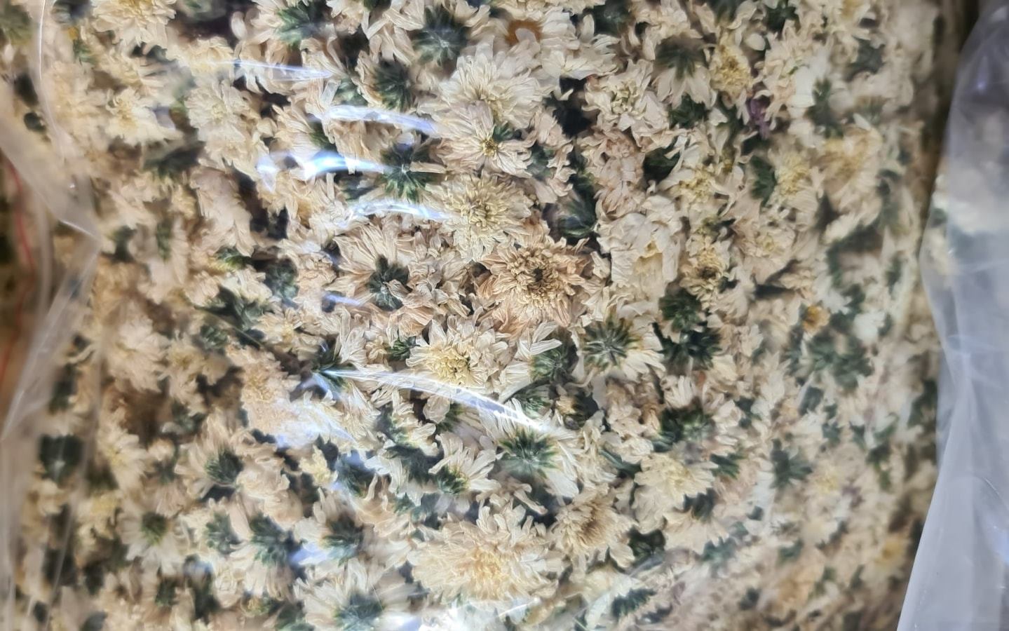 ดอกเก๊กฮวย ชาเก๊กฮวย มี 3แบบให้เลือก