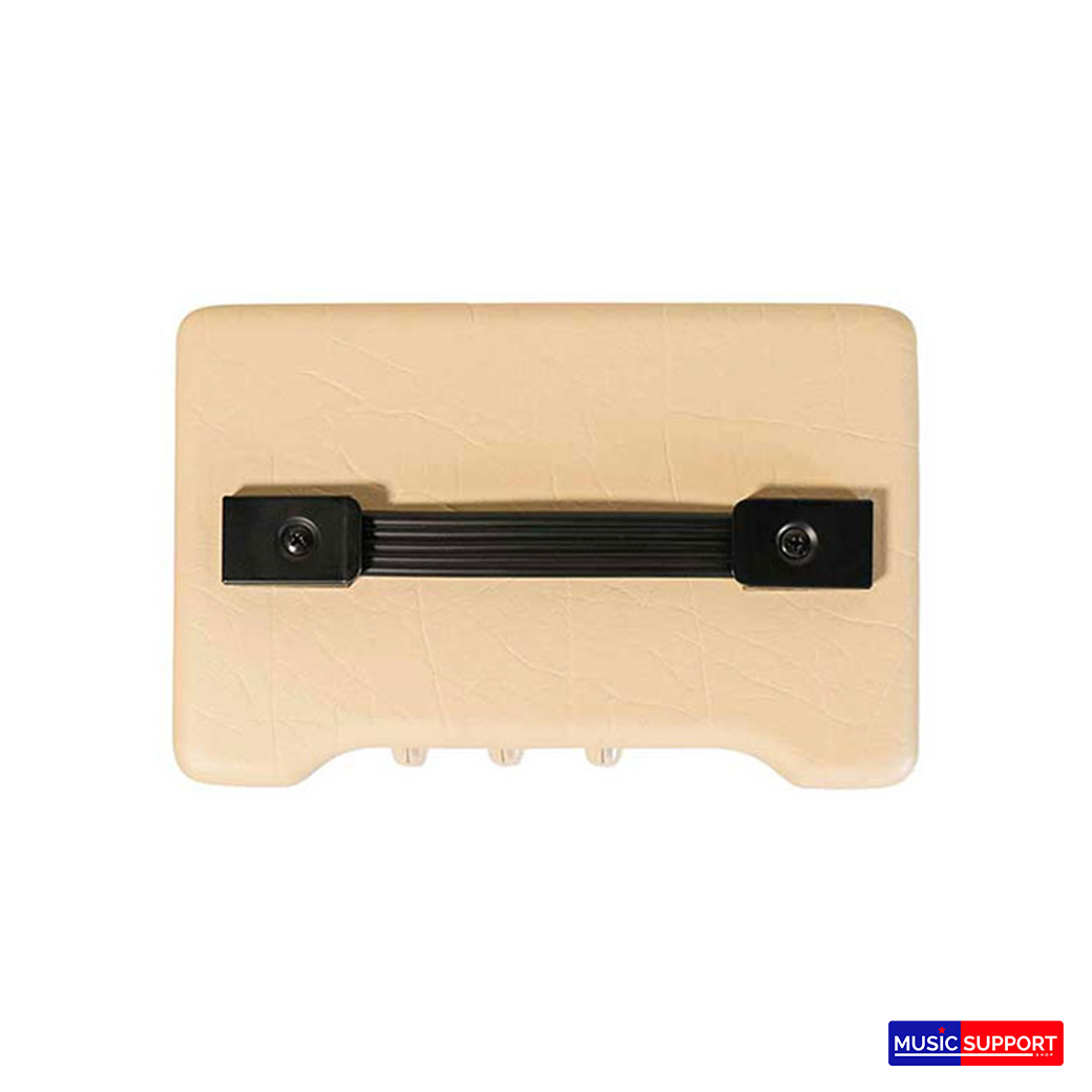 แอมป์กีตาร์ไฟฟ้า Blackstar Debut 10E