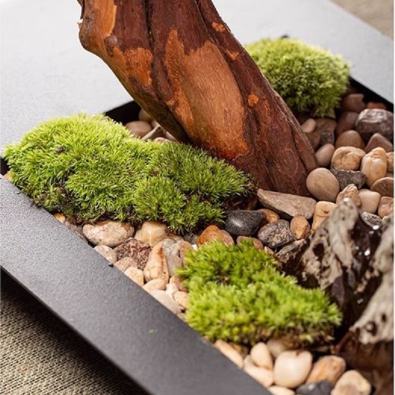 CT198D107 HOMMY ของตั้งโชว์ ของตั้งโต๊ะ ต้นไทร Boss leader office desktop ornaments