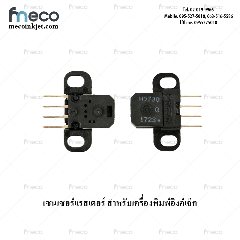 เซ็นเซอร์ แรสเตอร์