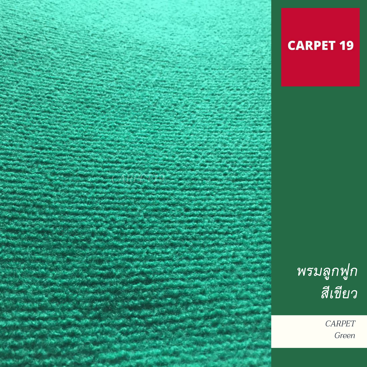ราคาต่อเมตร>> CARPET19 พรมลูกฟูก สีเขียว กว้าง 1.5 เมตร หนา 4.5-5 มม.