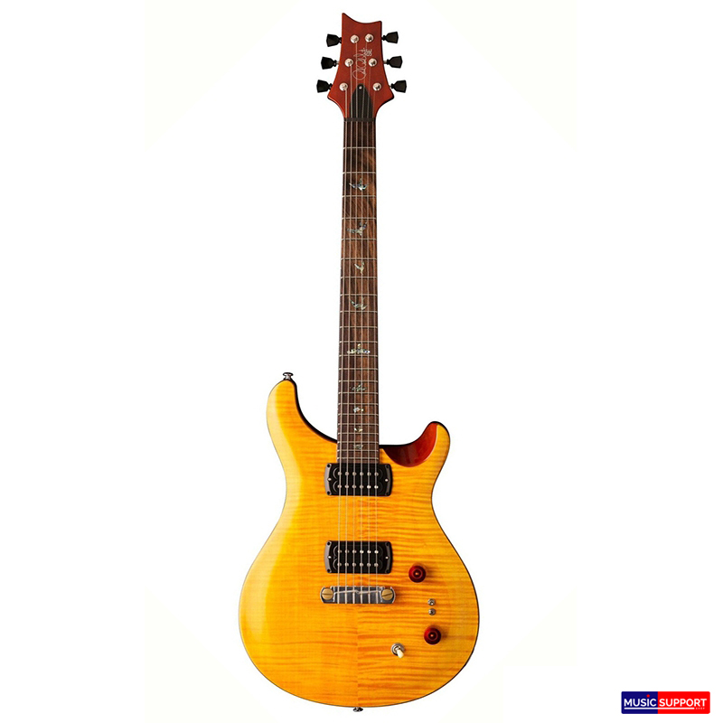 PRS SE Paul'S Guitar 2019
