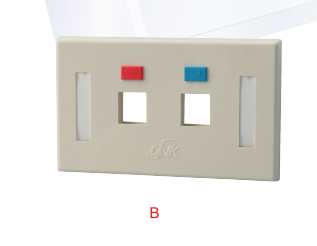 US-2002A : FACE PLATE 2 PORT With Icon & Label ID (Ivory)