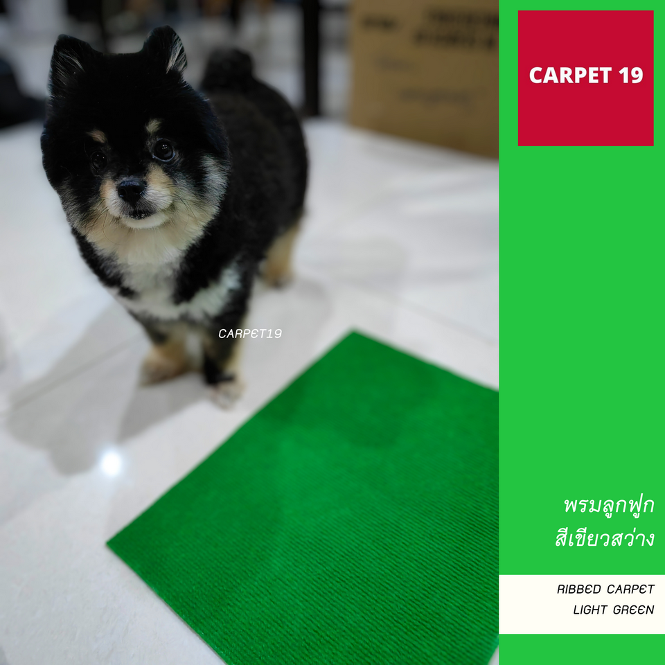 ราคาต่อเมตร>> CARPET19 พรมลูกฟูก สีเขียวสว่าง กว้าง 2 เมตร หนา 4.5-5 มม.ยาวสูงสุด 25 เมตร