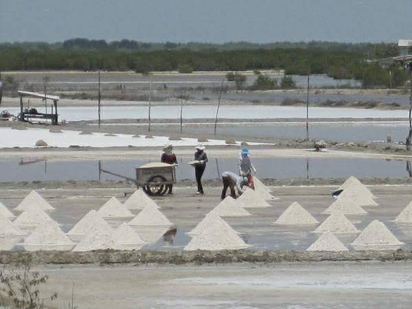 เกลือสปาขัดผิว (Spa Salt)