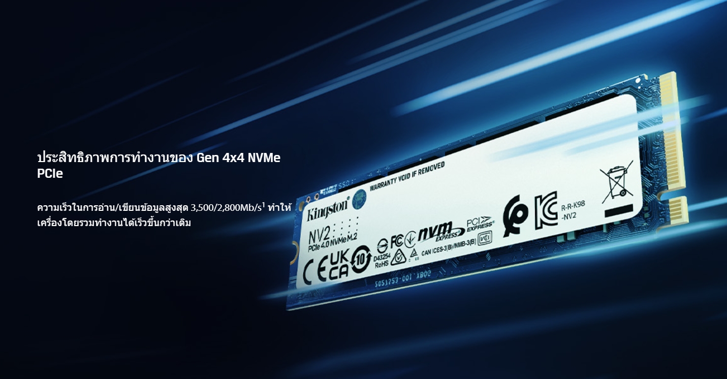 KINGSTON 1 TB SSD M.2 PCIe 4.0 NV2 (SNV2S/1000G) NVMe SSD