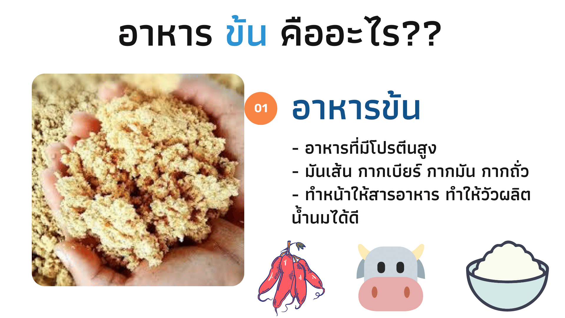 อาหารข้นคือ