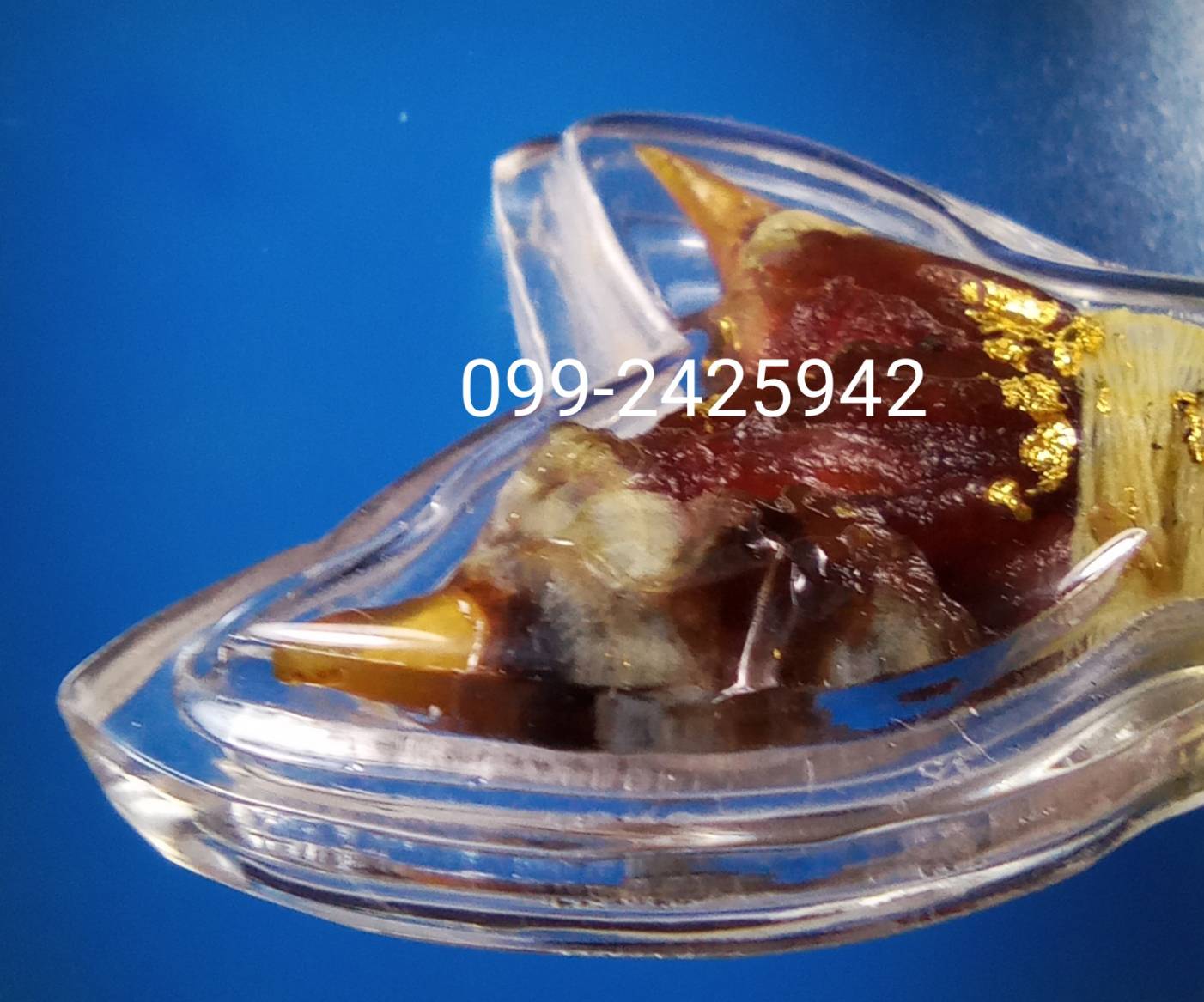 เดือยงูเหลือม เครื่องรางอาถรรพ์ ด้านโชคลาภ ทำมาหากิน และเสี่ยงโชค ลาภลอย ของแท้ต้องแบบนี้ครับ