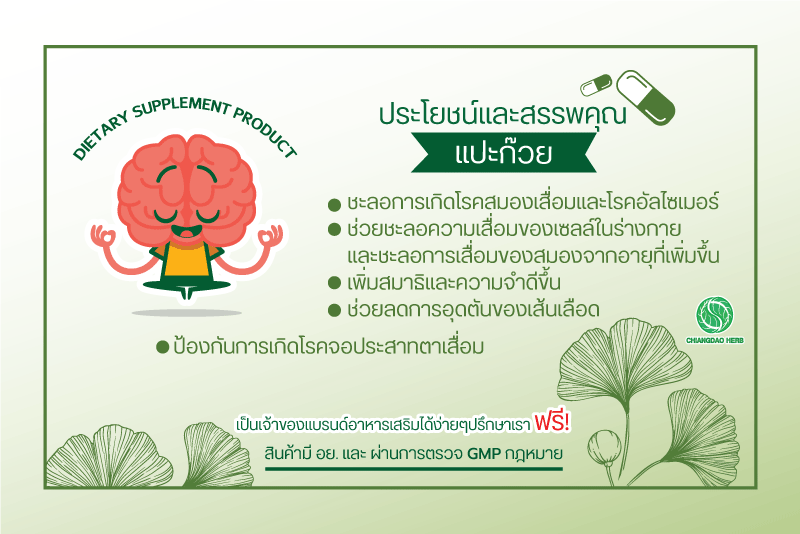 จำหน่ายแปะก๊วย