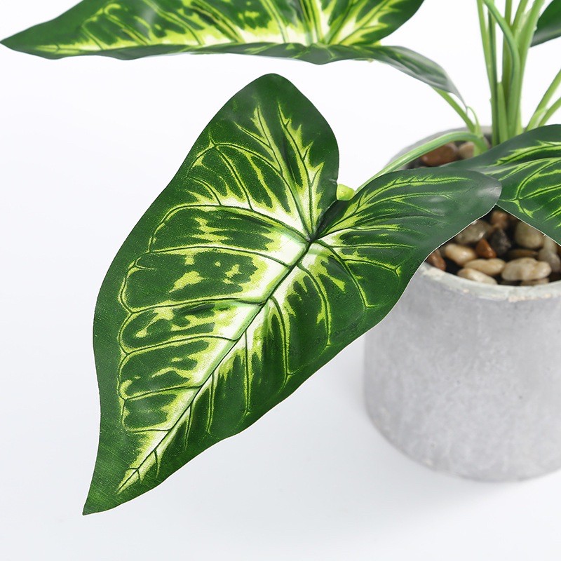 TS061J011 TROPACL ต้นไม้ปลอม ต้นออมเงิน ต้นไม้ปลอมสวยๆ ต้นไม้ปลอมโชว์ ARTIFICIAL PLANT ต้นออมเงินปลอม