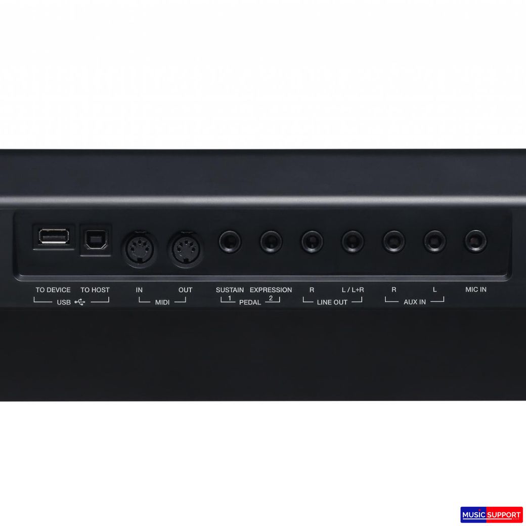 คีย์บอร์ด MEDELI AKX10S Keyboard 61 Keys