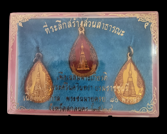 ระลึกสร้าง สวนสาธารณะ สกลนคร ปี 29