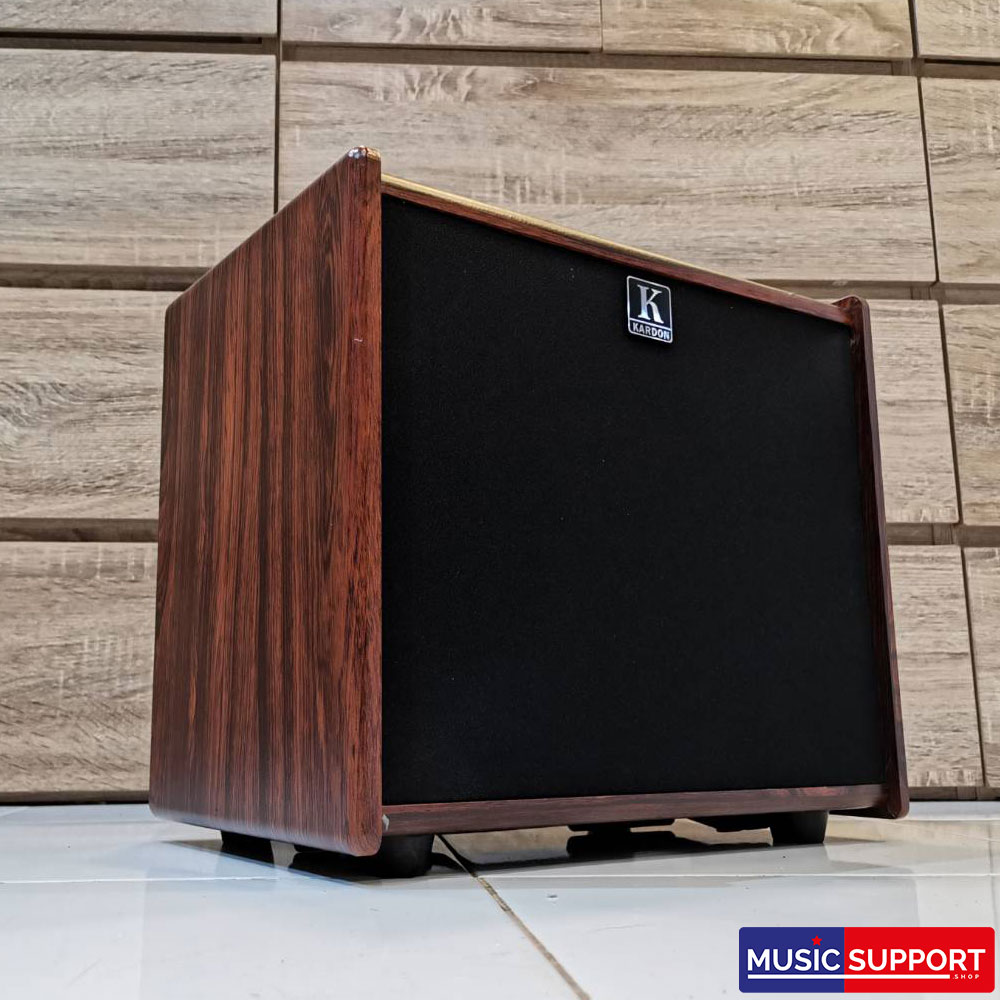 Kardon A40 แอมป์กีตาร์โปร่ง