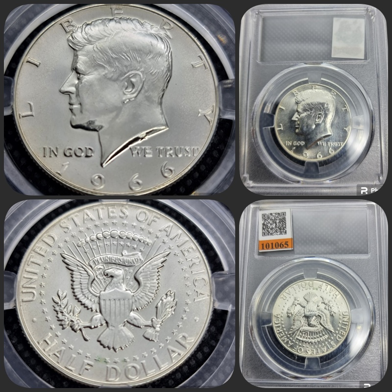 Half dollar 1966