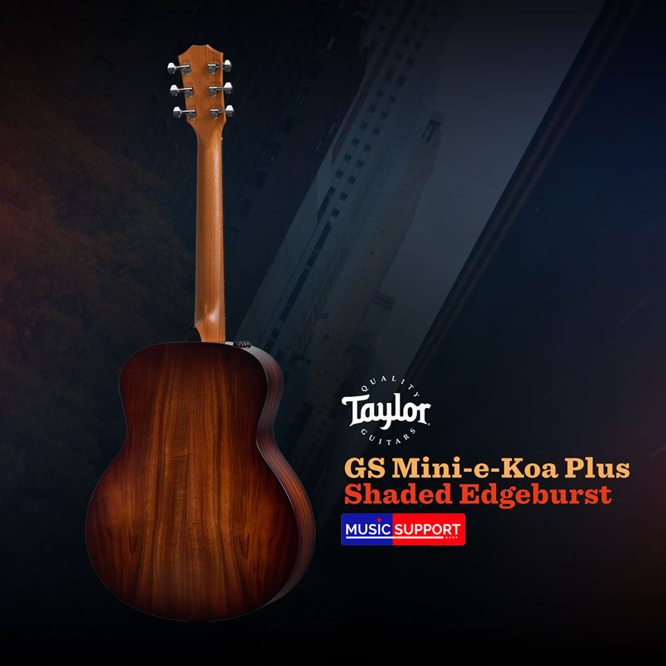 TAYLOR GS MINI-E KOA PLUS/AEROCASE