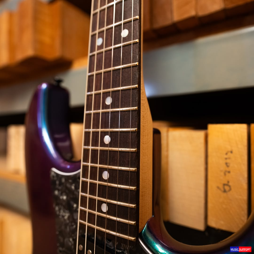 กีตาร์ไฟฟ้า James Tyler JTG Series SE MK I – Chameleon