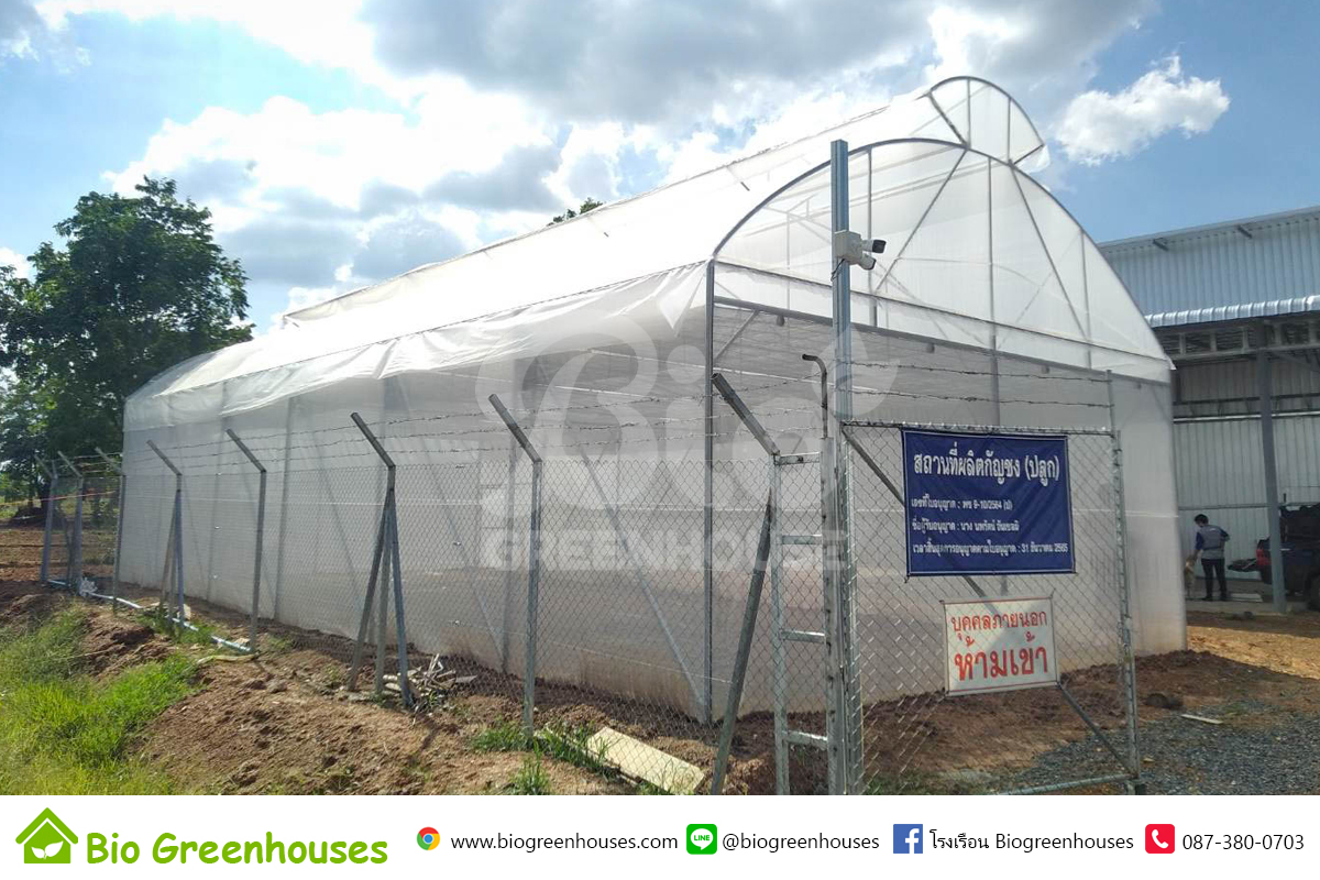 โรงเรือนจั่ว2ชั้น ขนาด 8x17x6.0 ม. พร้อมม่านพรางแสง สำหรับปลูกกัญชง จ.เพชรบูรณ์