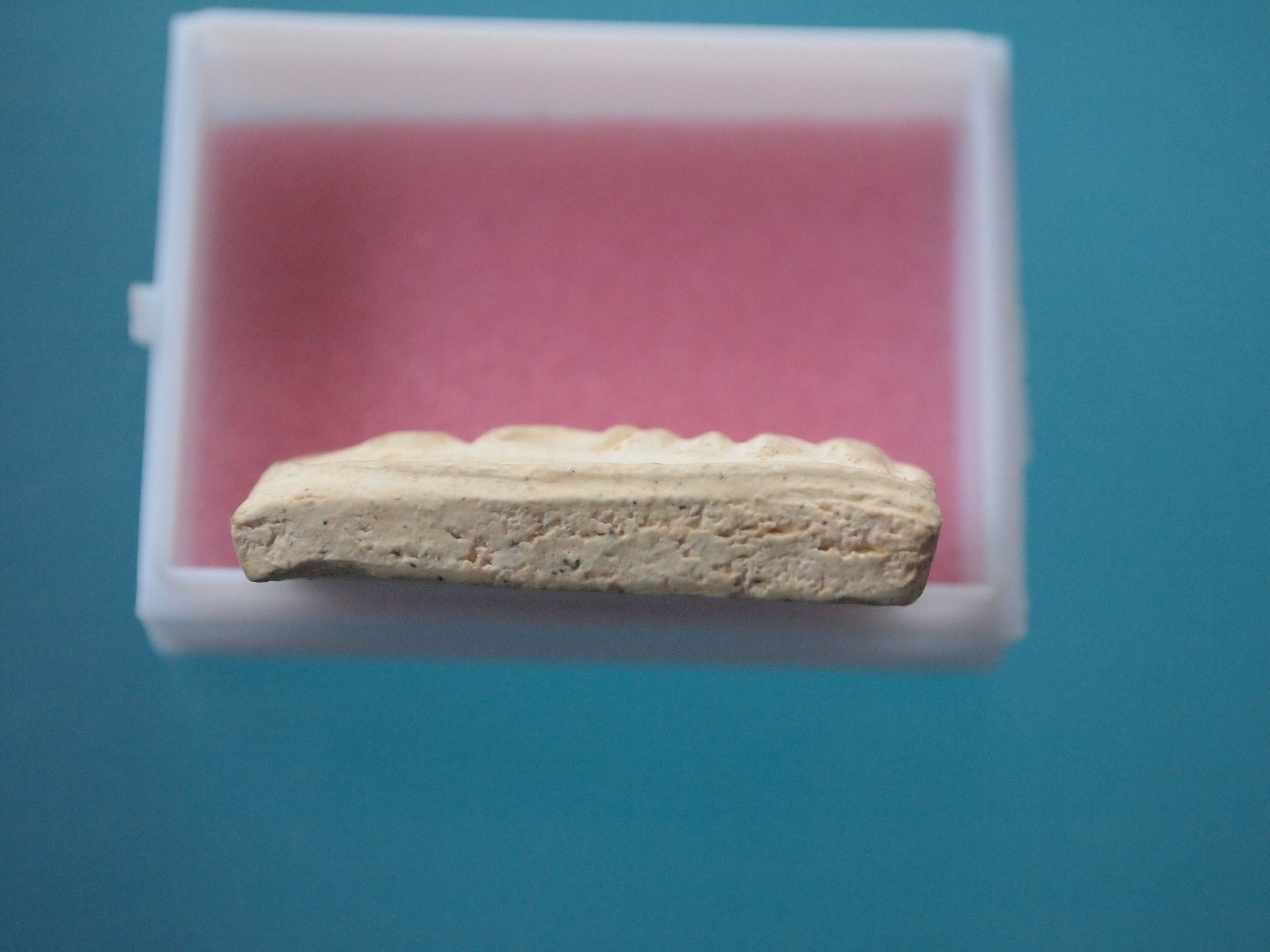 พระสมเด็จวัดระฆัง 100ปี พิมพ์หลังเต่า