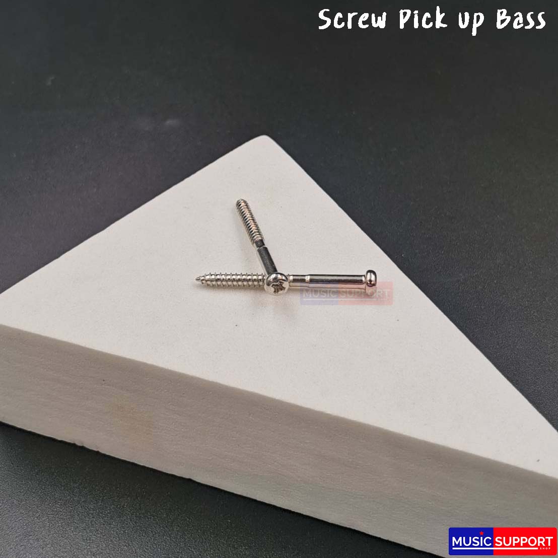 น็อตปิคอัพเบส Screw Pickup Bass 1 ตัว