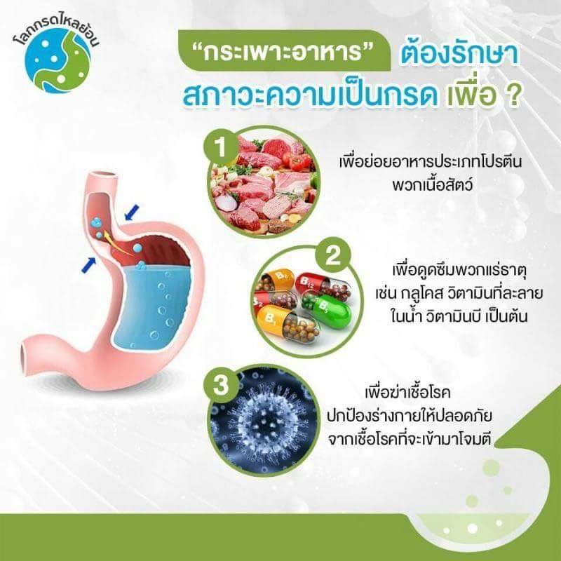 กระเพาะอาหารทำหน้าที่รักษาสภาวะเป็นกรด