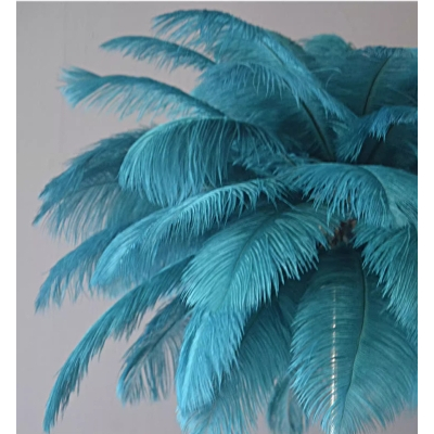 CT191A149 SOTMIA โคมไฟตั้งพื้นขนนกกระจอกเทศพร้อมรีโมท โคมไฟแบบชาร์จไฟได้ Feather โต๊ะกาแฟ Lamp