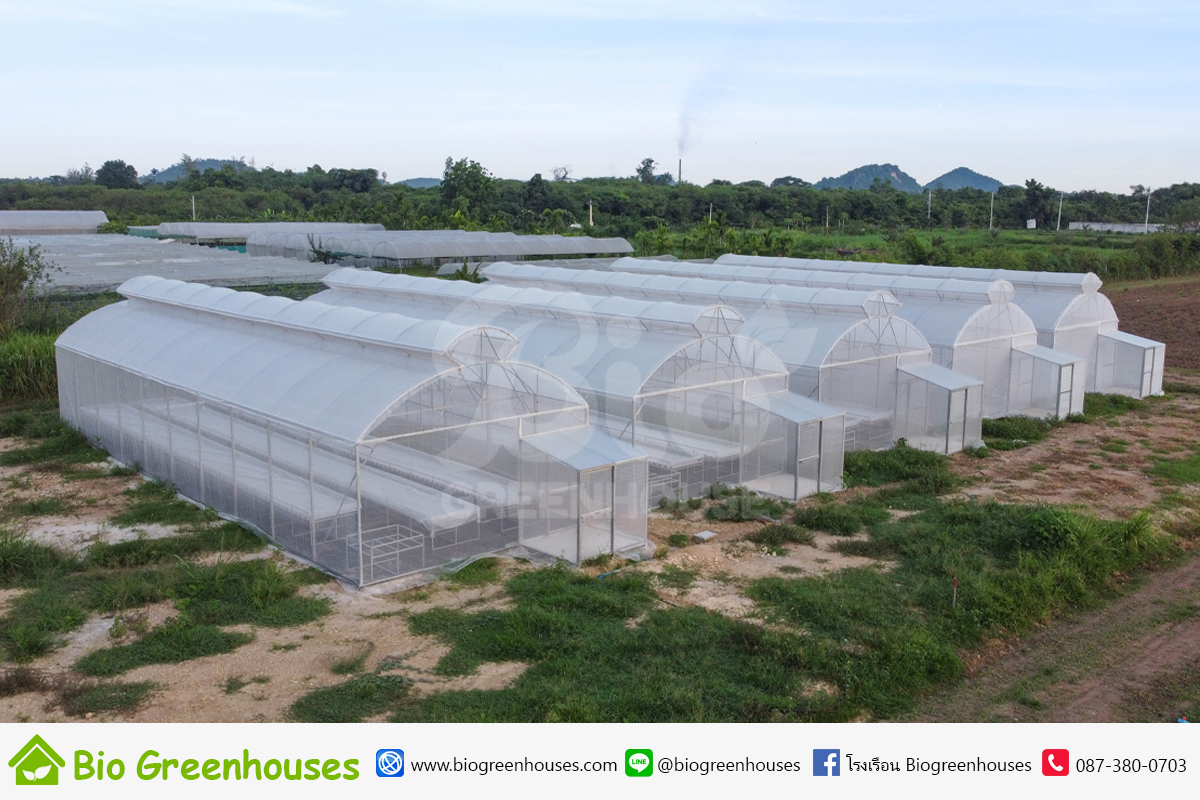 โรงเรือนจั่ว2ชั้น ขนาด 6x20ม. 5หลัง จ.ราชบุรี