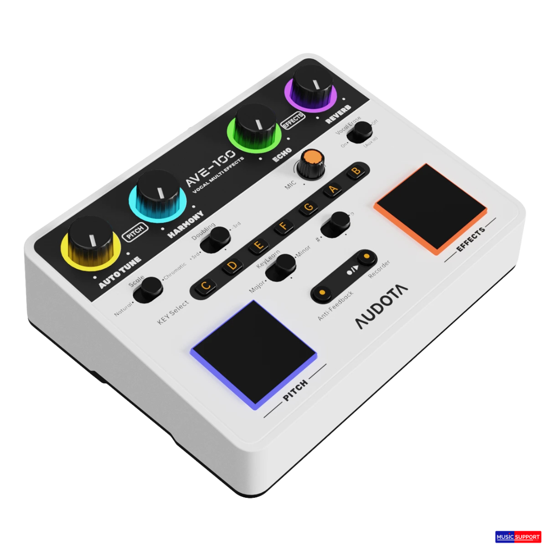เอฟเฟคร้อง Audota AVE-100 Vocal Multi Effect