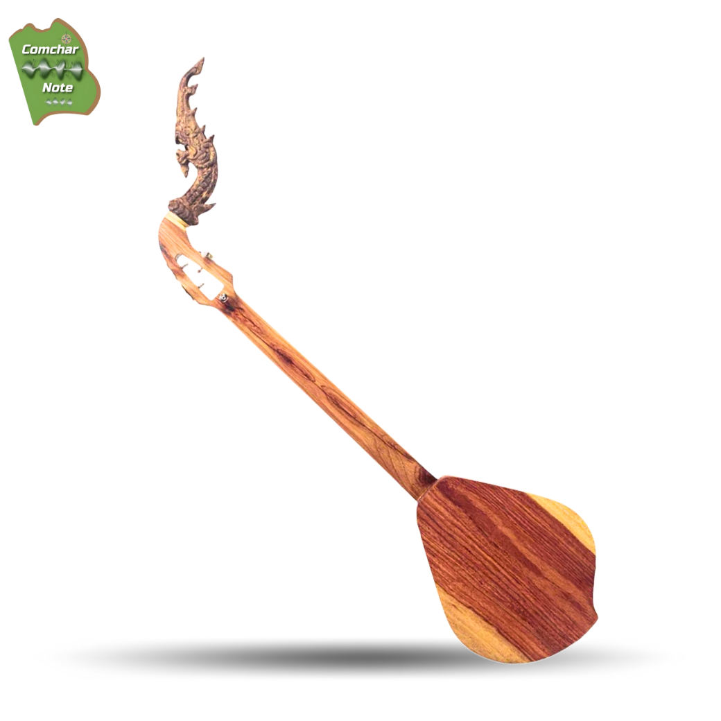 พิณโปร่งไฟฟ้าคำชะโนด "หาดนางคอยไฟฟ้า" V.2 / BNK E V.2