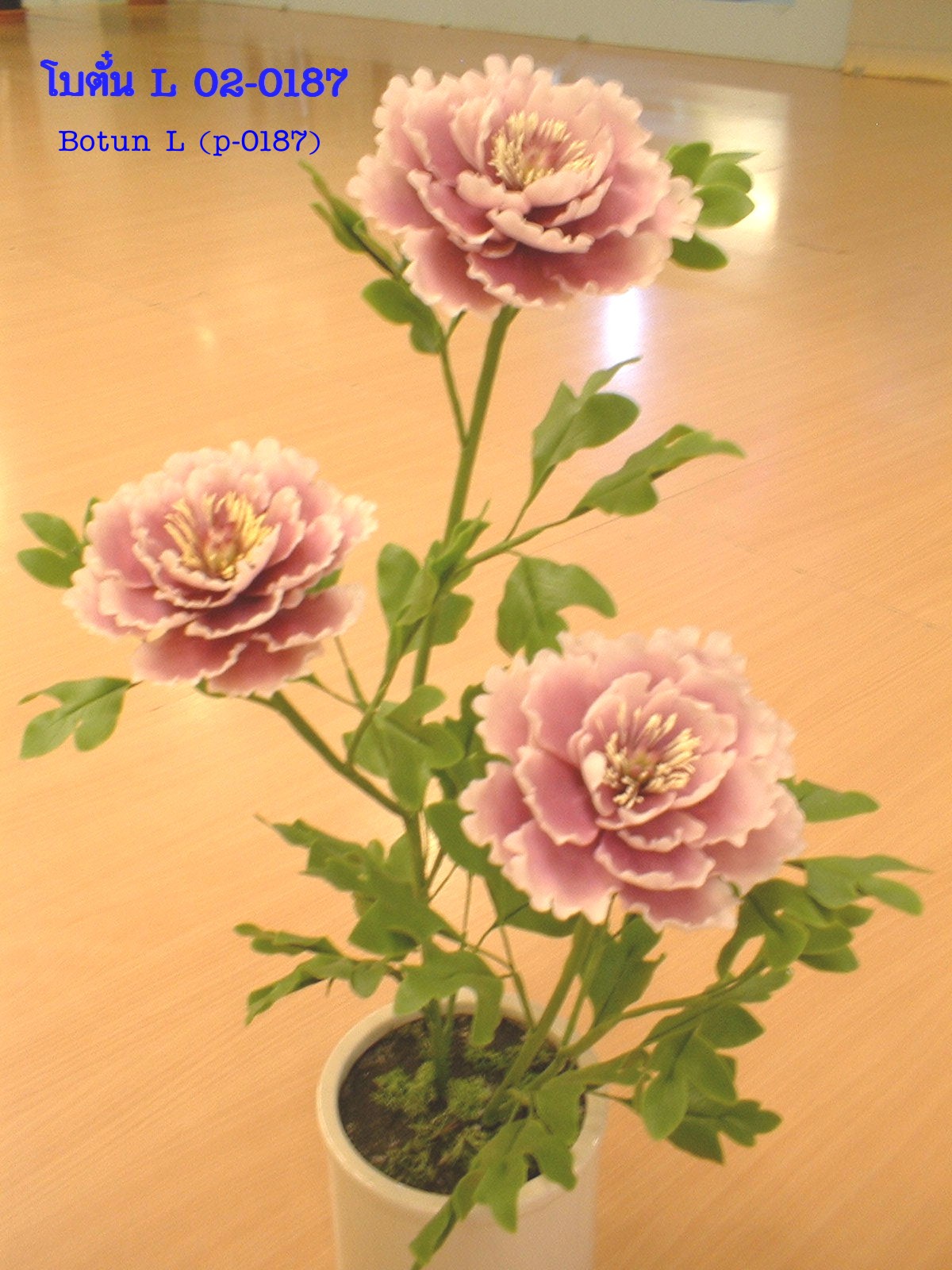 Peony (Medium)