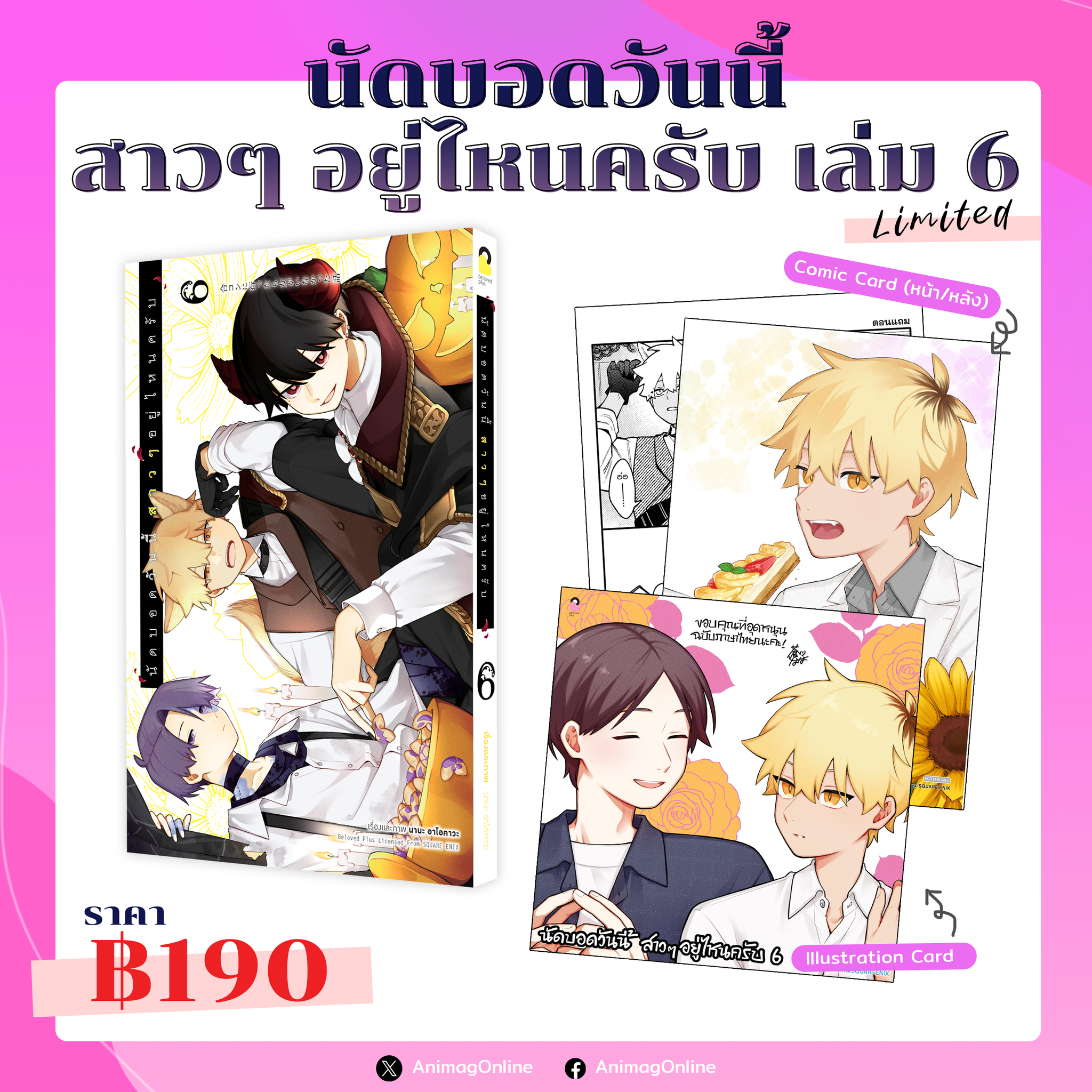 Animag นัดบอดวันนี้ สาว ๆ อยู่ไหนครับ COMIC เล่ม 6 Limited