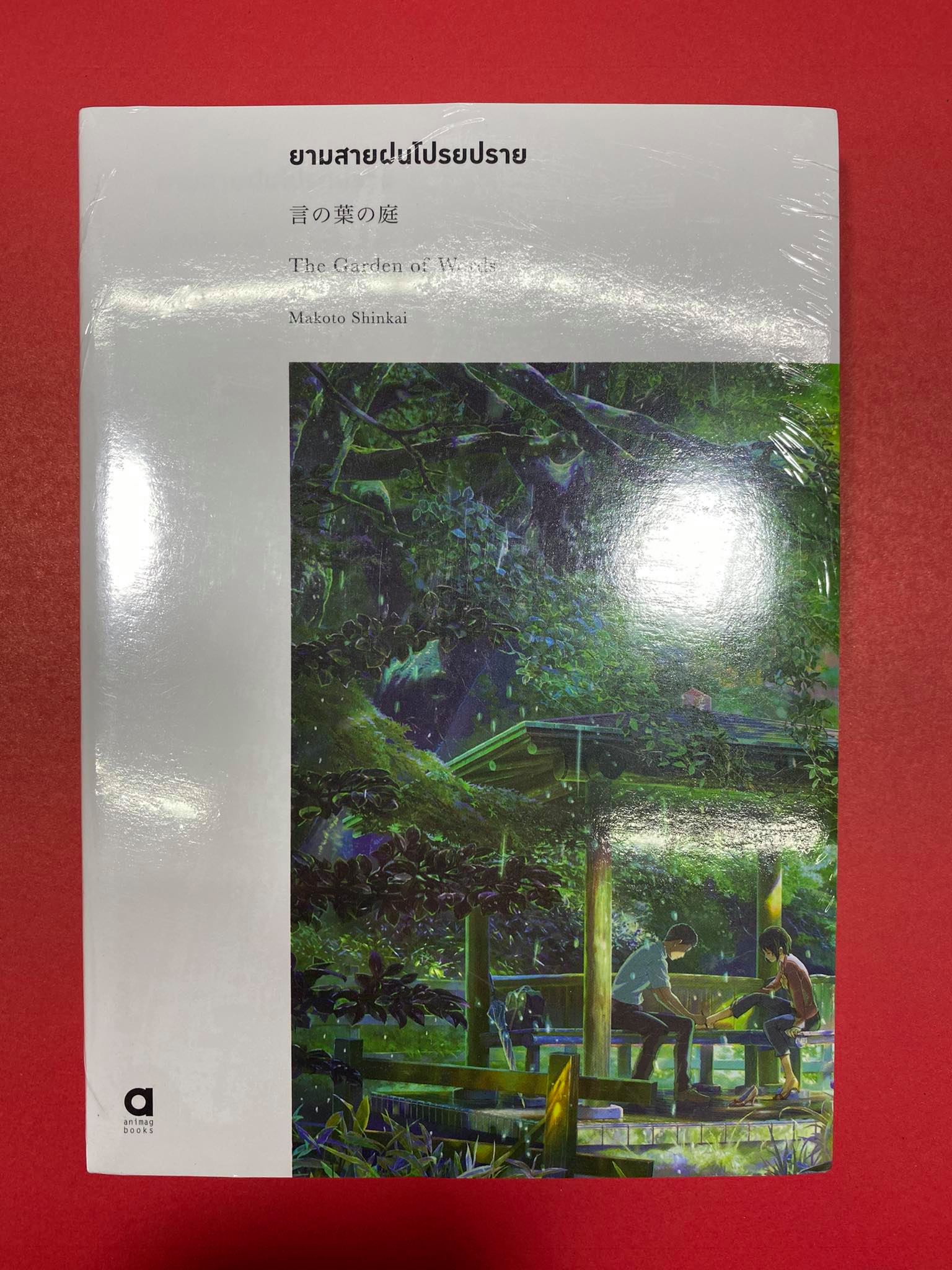 Animag ยามสายฝนโปรยปราย NOVEL (เล่มเดียวจบ)