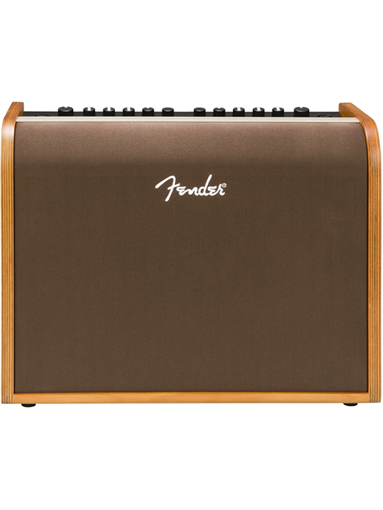 Fender Acoustic 100