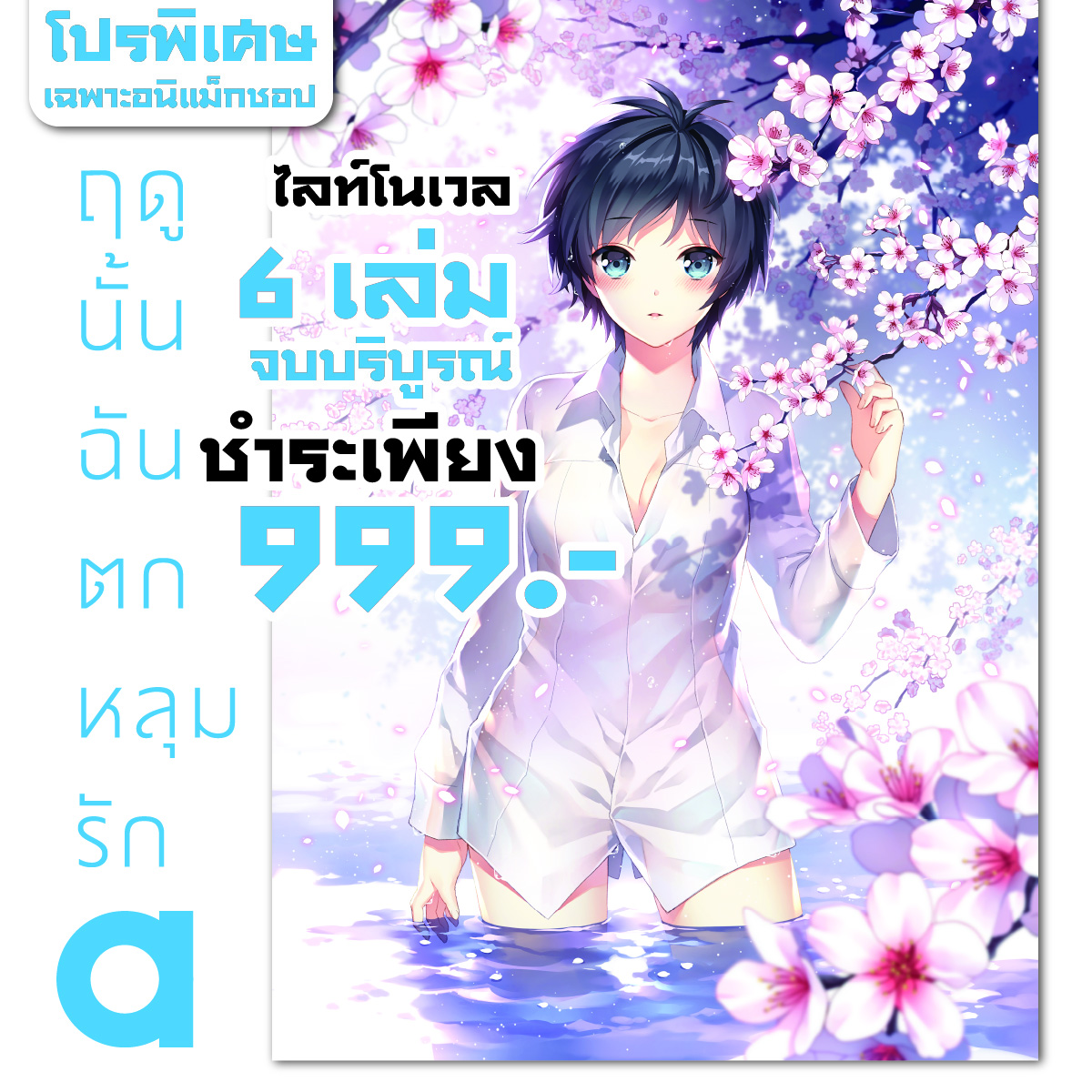 Animag (ราคาพิเศษ 999) ฤดูนั้นฉันตกหลุมรัก NOVEL เล่ม 1-6 *ขีดสีสันปก