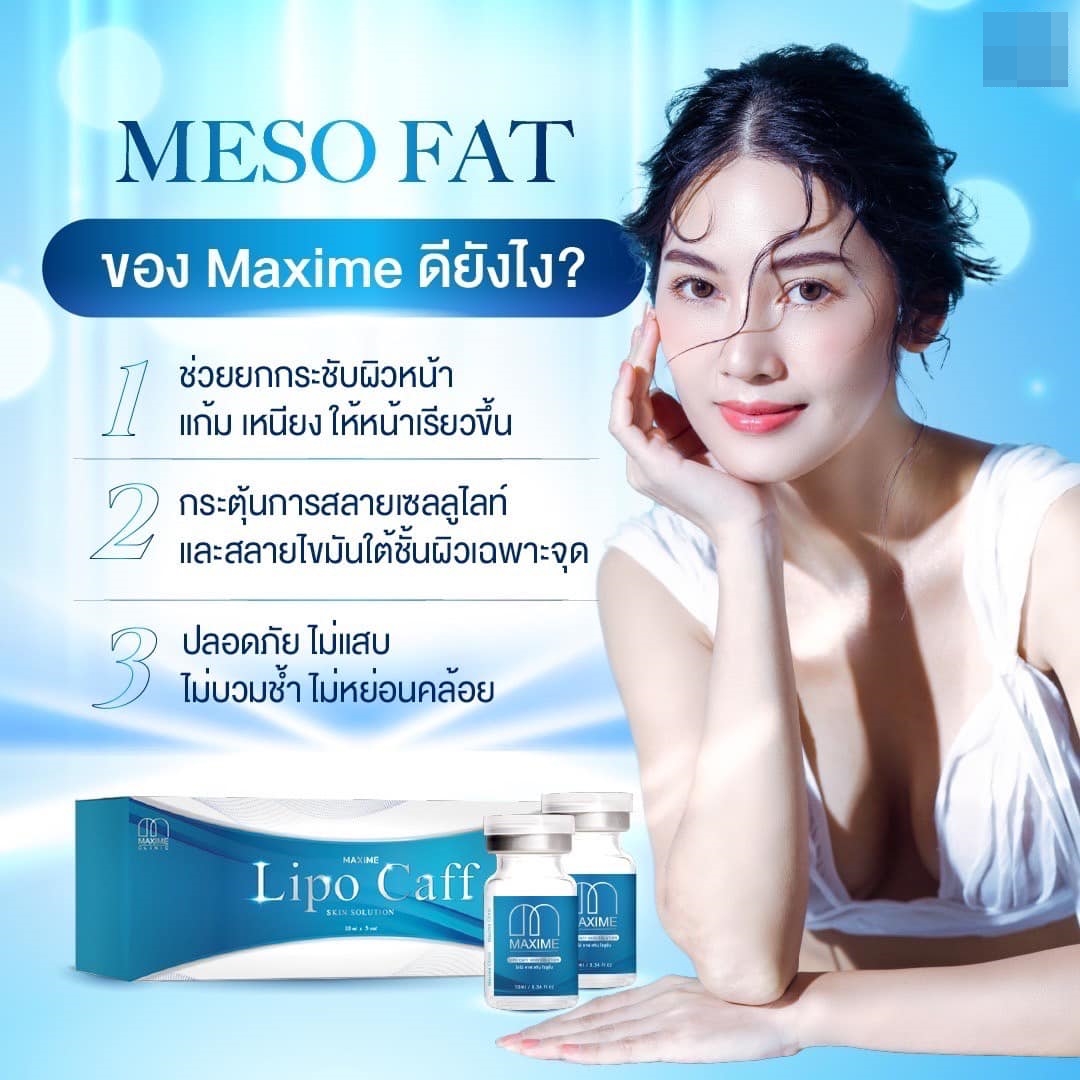 เมโสแฟต Maxime อย.ไทย