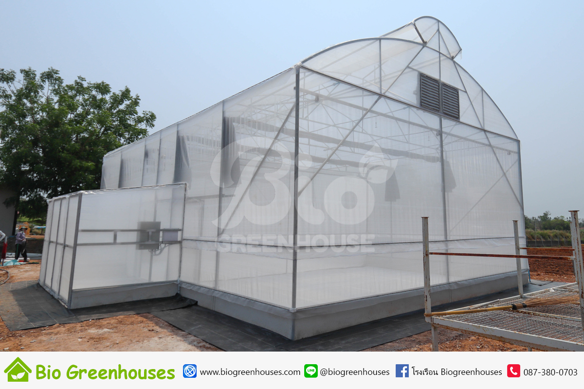 โรงเรือนจั่ว2ชั้น ขนาด 8x12ม. สูง6.5ม. พร้อมระบบม่านพรางแสงและระบบพ่นหมอก จ.ขอนแก่น