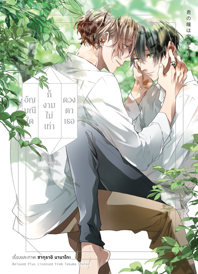 Animag อัญมณีใดก็งามไม่เท่าดวงตาเธอ COMIC (เล่มเดียวจบ)