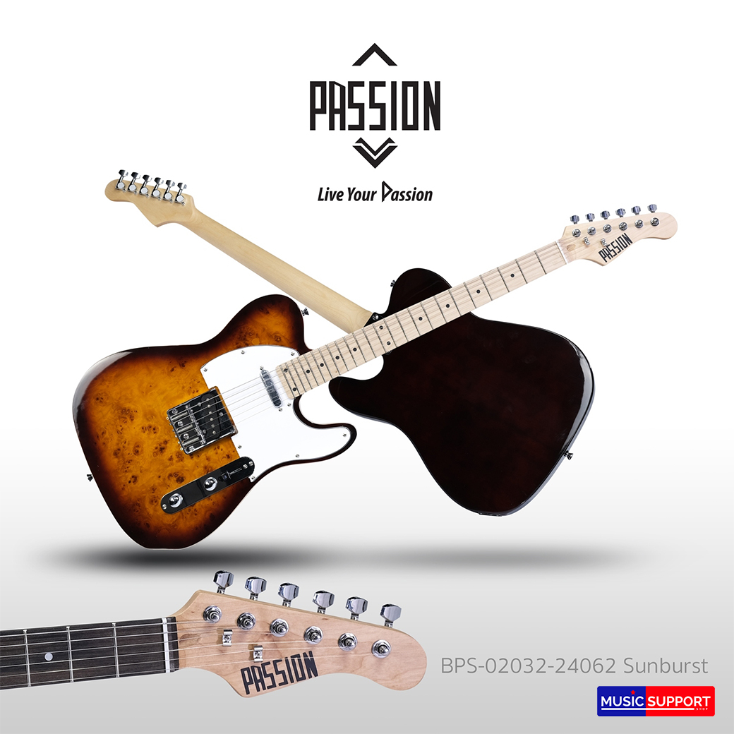 Passion กีต้าร์ไฟฟ้า Bird-Eye EBTL-01 TL MP