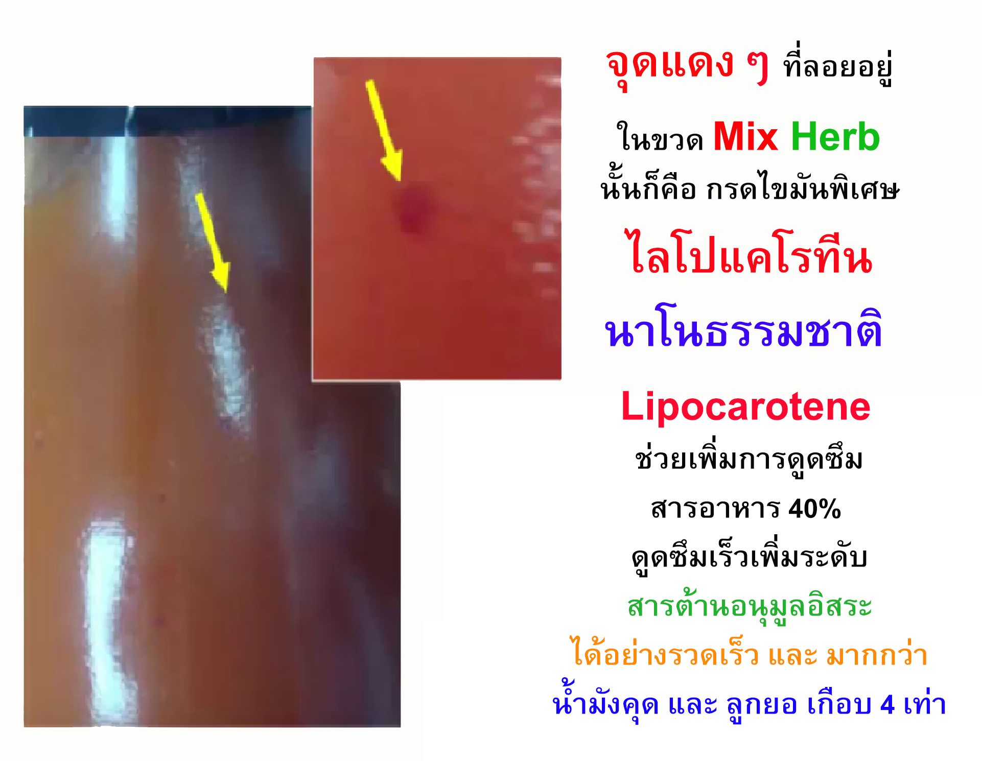 น้ำฟักข้าว, น้ำฟักข้าวสุนันท์, ของดีจังหวัดลพบุรี, ของดีเมืองลพบุรี, ของฝากลพบุรี, ขายน้ำฟักข้าว, ครีมอาบน้ำฟักข้าว, ถอนพิษไข้, น้ำฟักข้าว, น้ำฟักข้าวที่ได้รับการรับรอง, น้ำฟักข้าวผสมเสาวรส, น้ำฟักข้าวมีประโยชน์, น้ำฟักข้าวราคาถูก, บำรุงผิว, บำรุงร่างกาย, ฟักข้าว, ฟักข้าว ต้านมะเร็ง, ฟักข้าวชื่อวิทยาศาสตร์ Momordica cochinchinensis, ฟักข้าวสกัด, ฟักข้าวเป็นพืชที่มีวิตามิน A, วิธีทำน้ำฟักข้าว, ส่งเสริม, สบู่ฟักข้าว, เสริม, โลชั่นฟักข้าว
