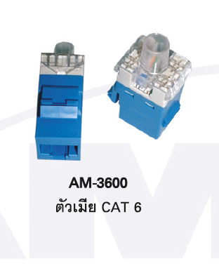 AM-3600 1375055-6 AMP CAT6 Modular JACK (ตัวเมีย)
