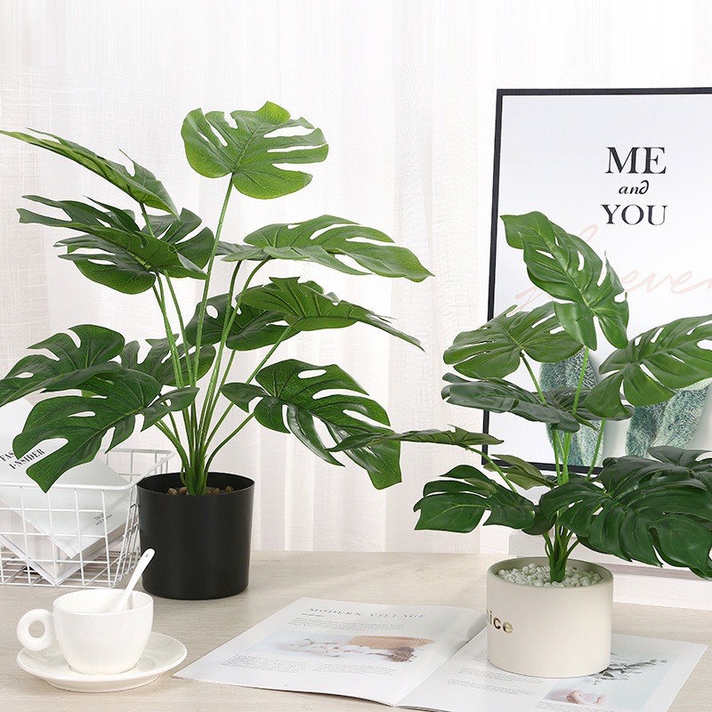 TS061J008 TROPACL ต้นมอนสเตล่าพร้อมกระถางดำ ต้นมอนสเตอร่า มอนสเตอร์ร่าปลอม ต้นไม้ปลอม ARTIFICIAL PLANT ต้นมอนสเตอร่าปลอม