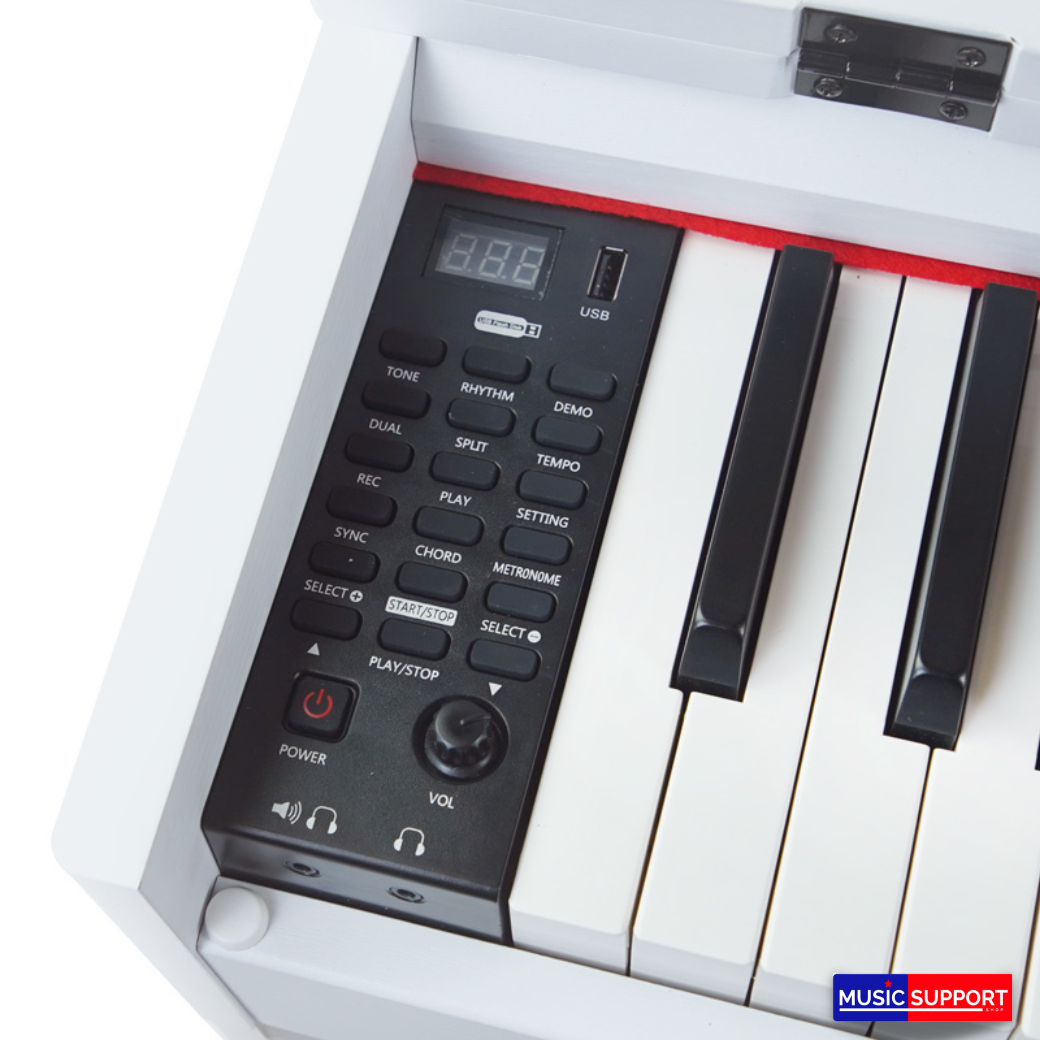 เปียโนไฟฟ้า Coleman F201 Digital Pianos