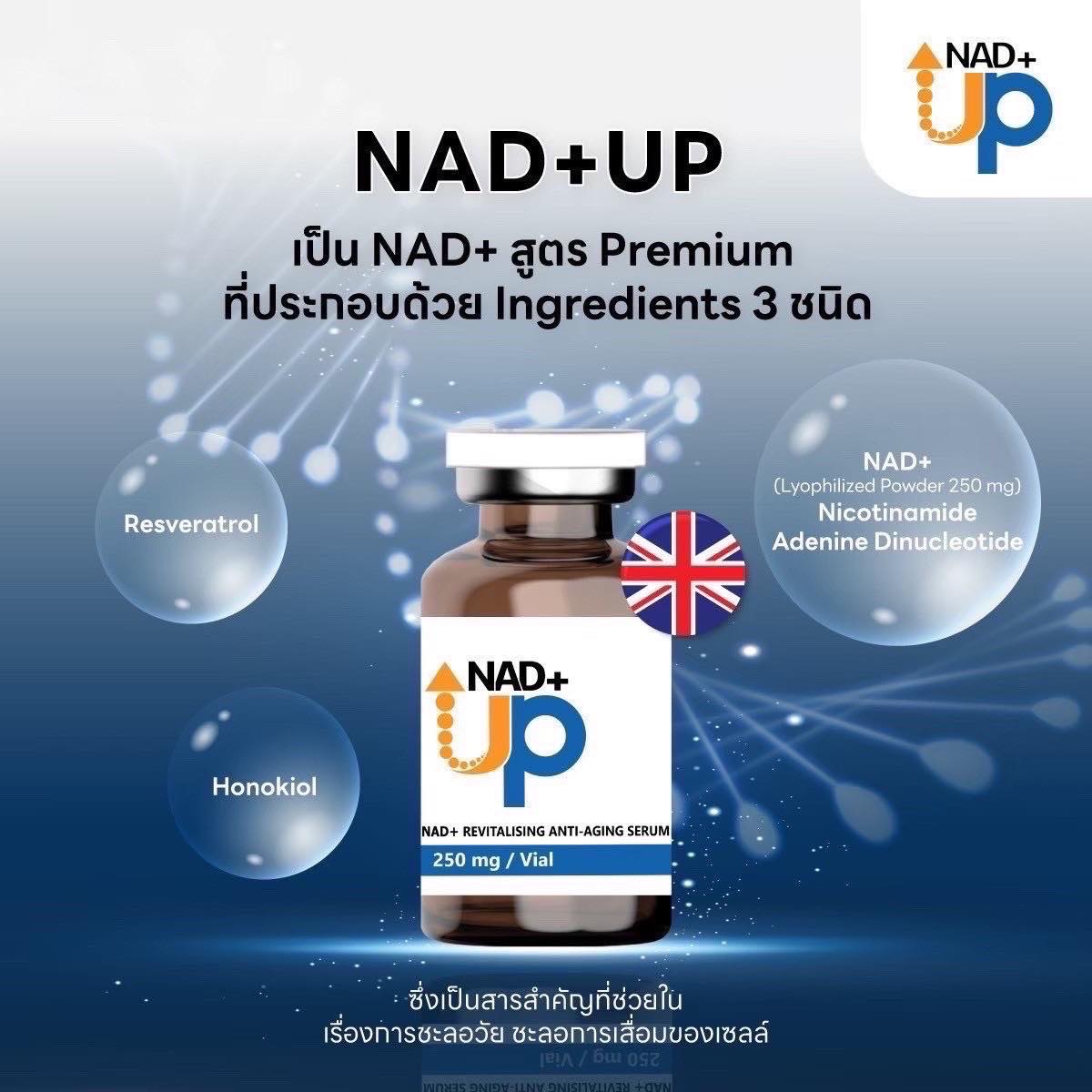 NAD+ UP สูตร Premium ชะลอวัย