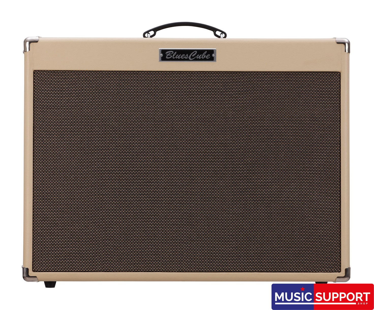 Roland BLUES CUBE ARTIST 212