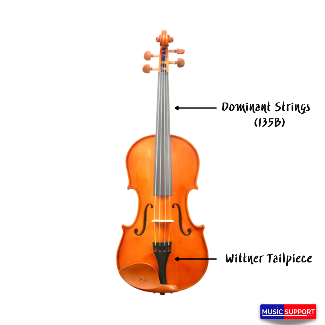 Synwin Handmade Violin Outfit SV3001S 4/4