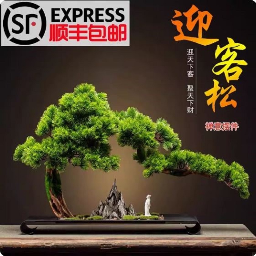 CT198D107 HOMMY ของตั้งโชว์ ของตั้งโต๊ะ ต้นไทร Boss leader office desktop ornaments