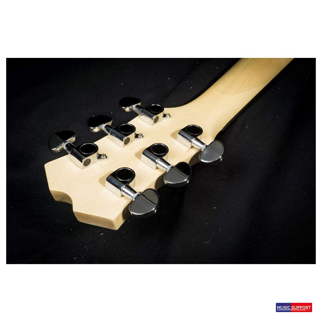 Passion Base Series BLP-01 HH RW Sunburst