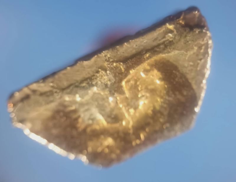 พระสมเด็จองค์ปฐม ออกวัดโขงขาว หลวงพ่อฤษีลิงดำเสก