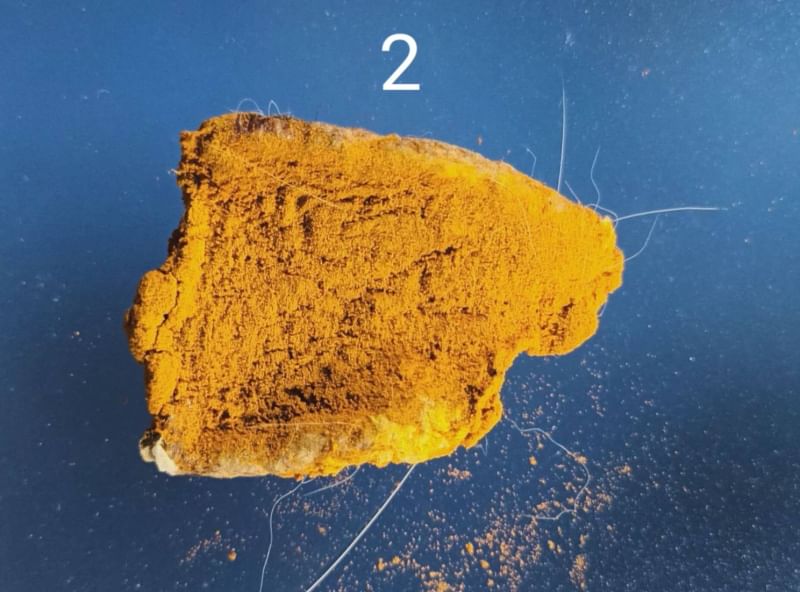 รกแมว เครื่องรางของขลังจากธรรมชาติ