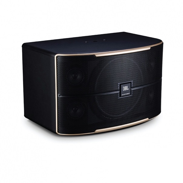 Pasion 12-PAK Passive 12” Full-Range Karaoke Loudspeaker